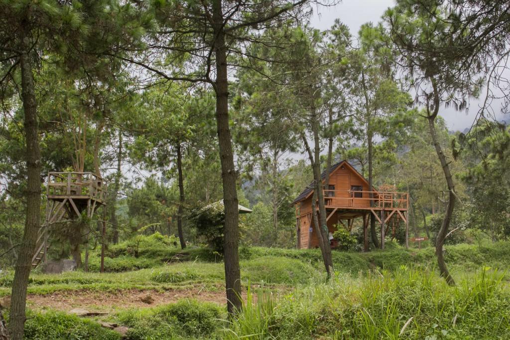 Papandayan Camping Ground Hotel Cileuleuy Exterior photo