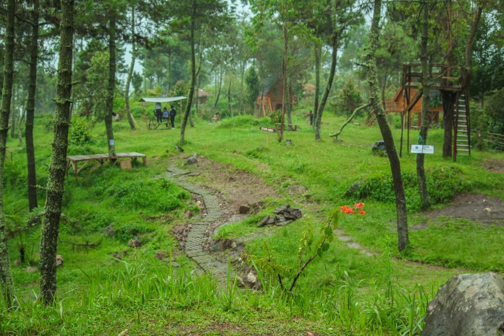 Papandayan Camping Ground Hotel Cileuleuy Exterior photo